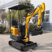 Mini excavator subteran